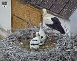 Capi_Dubne_20260616_160502.jpg