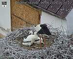 Capi_Dubne_20260616_162002.jpg