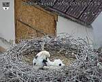 Capi_Dubne_20260616_180504.jpg