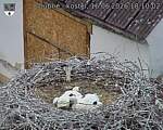 Capi_Dubne_20260616_181002.jpg