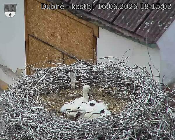 preload