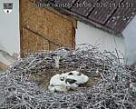 Capi_Dubne_20260616_191503.jpg