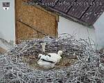 Capi_Dubne_20260616_194504.jpg