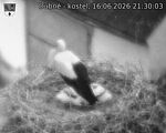 Capi_Dubne_20260616_213003.jpg