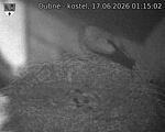 Capi_Dubne_20260617_011502.jpg