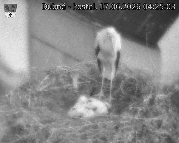 preload