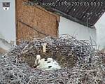 Capi_Dubne_20260617_050002.jpg