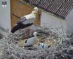 Capi_Dubne_20260617_154503.jpg