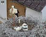 Capi_Dubne_20260617_192003.jpg