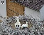 Capi_Dubne_20260617_193002.jpg