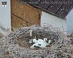 Capi_Dubne_20260617_204003.jpg