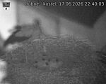 Capi_Dubne_20260617_224003.jpg