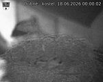 Capi_Dubne_20260618_000002.jpg