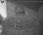 Capi_Dubne_20260618_003502.jpg