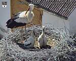 Capi_Dubne_20260618_155503.jpg