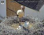 Capi_Dubne_20260618_172505.jpg