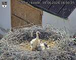 Capi_Dubne_20260618_180005.jpg