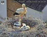 Capi_Dubne_20260618_192004.jpg
