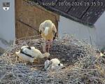Capi_Dubne_20260618_193503.jpg