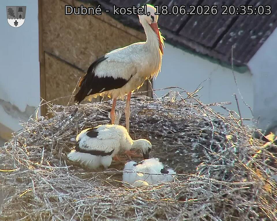 preload