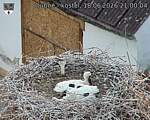 Capi_Dubne_20260618_210004.jpg