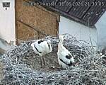 Capi_Dubne_20260618_213005.jpg