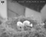 Capi_Dubne_20260618_213503.jpg