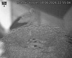 Capi_Dubne_20260618_225504.jpg