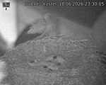 Capi_Dubne_20260618_233005.jpg