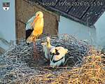 Capi_Dubne_20260619_051504.jpg