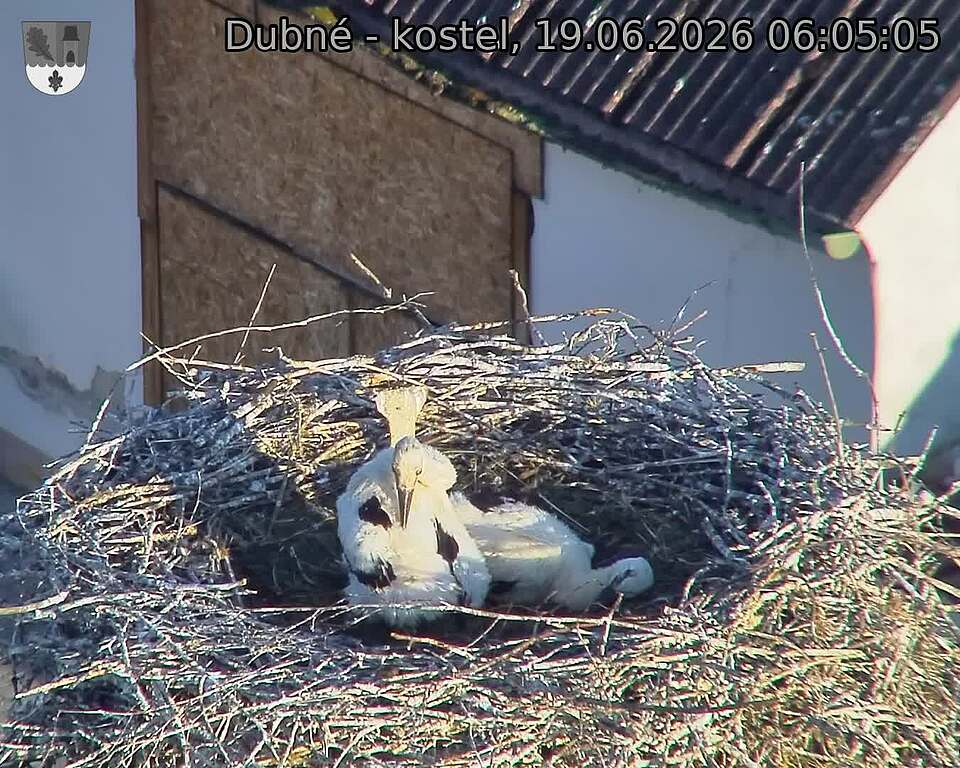 preload