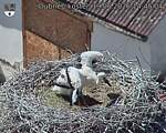 Capi_Dubne_20260619_144504.jpg