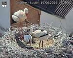 Capi_Dubne_20260619_172002.jpg
