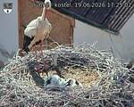 Capi_Dubne_20260619_172502.jpg