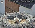 Capi_Dubne_20260619_183002.jpg