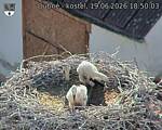 Capi_Dubne_20260619_185003.jpg