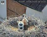 Capi_Dubne_20260619_185503.jpg