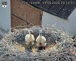Capi_Dubne_20260619_191003.jpg