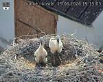 Capi_Dubne_20260619_191503.jpg