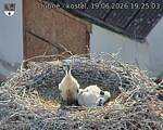 Capi_Dubne_20260619_192503.jpg