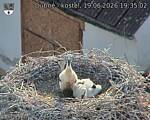 Capi_Dubne_20260619_193502.jpg