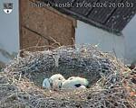 Capi_Dubne_20260619_200503.jpg