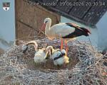 Capi_Dubne_20260619_203004.jpg