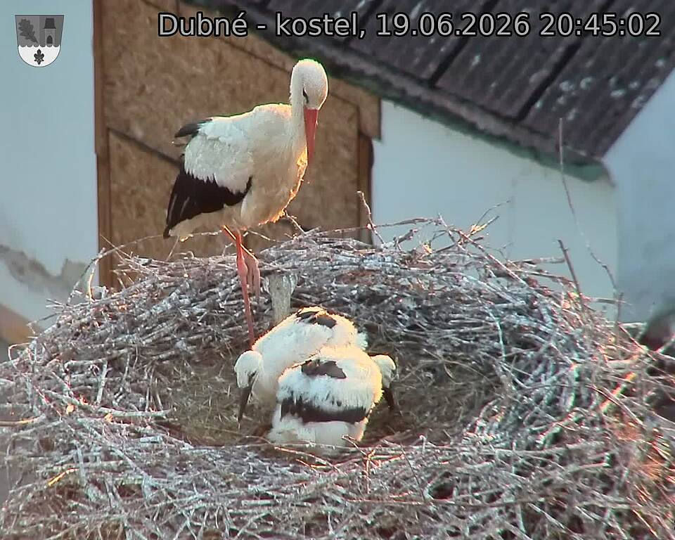 preload