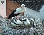 Capi_Dubne_20260619_213003.jpg