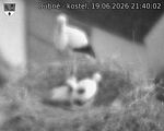 Capi_Dubne_20260619_214002.jpg
