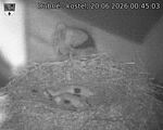 Capi_Dubne_20260620_004503.jpg