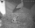 Capi_Dubne_20260620_013002.jpg