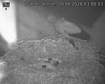 Capi_Dubne_20260620_030003.jpg