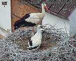 Capi_Dubne_20260620_134003.jpg